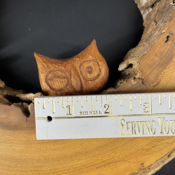 Burlwood Cut Live Edge Wood Slab Slice Owl Decor Unique OFAK Artwork - Picture 15 of 16